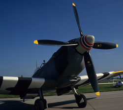 ILA 1994